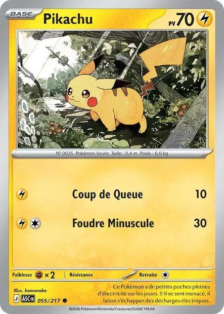 Illustration décorative — Pokémon